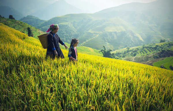 poster gunung Asian Mountains Fields Grass Little girls Old 1Z