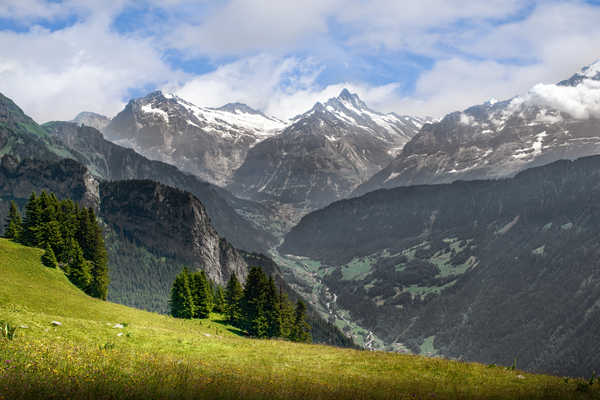 poster gunung Mountains Scenery Switzerland Grass Alps 1Z