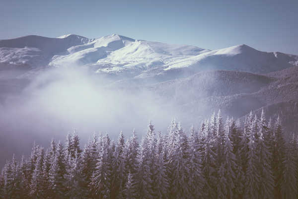 poster gunung Winter Mountains Fir Fog 1Z