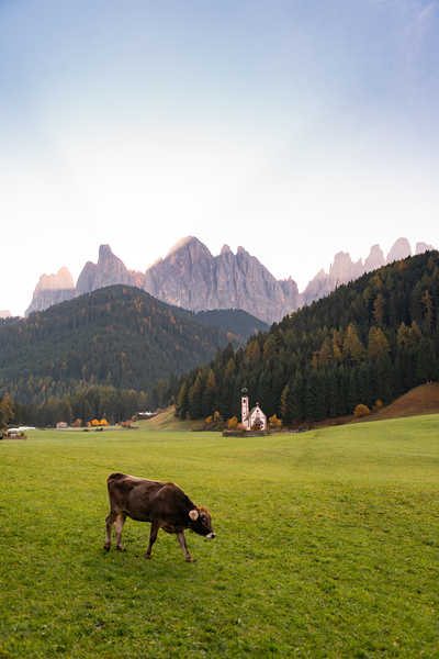 poster pegunungan Italy Mountains Church Cow Dolomites Santa 1Z