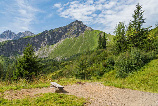 poster pemandangan alam gunung Germany Mountains Bavaria Alps Spruce 1Z