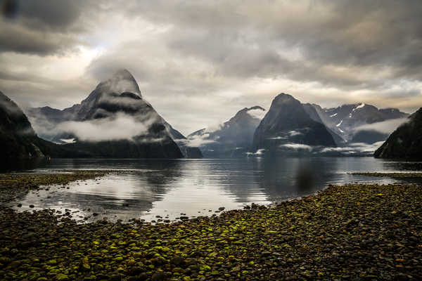 poster pemandangan alam gunung Mountains Coast New Zealand Milford Sound Fjord 1Z