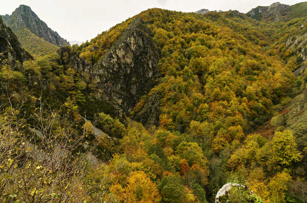 poster gunung Autumn Mountains Forests 1Z