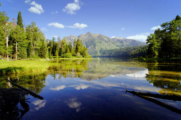 poster pemandangan alam gunung forest lake mountains 4k WPS