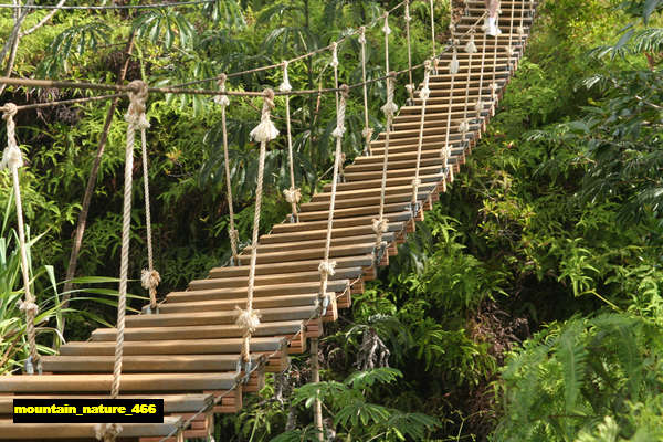 Poster Pemandangan Gunung mountain 466