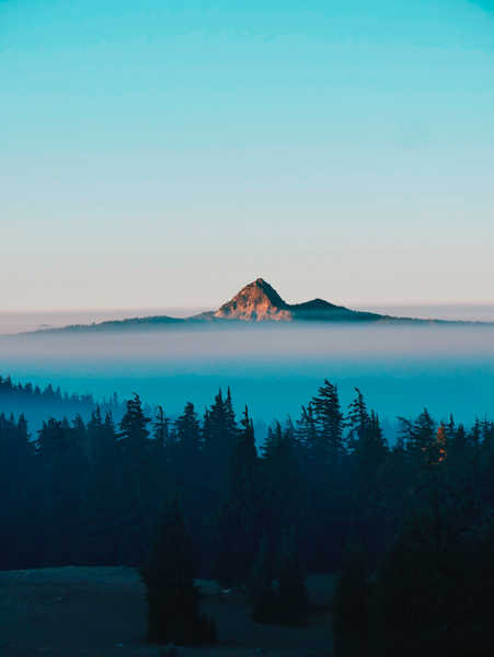 poster gunung forest evening mountain peak foggy 4k WPS