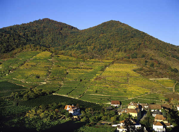 poster pemandangan alam gunung Austria Mountains Fields 1Z