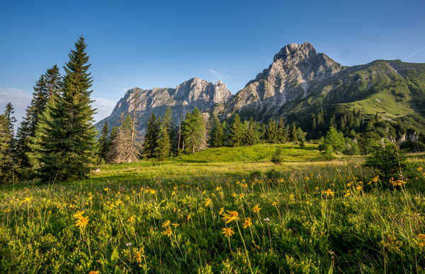 poster pegunungan Austria Mountains Grasslands Scenery Alps Fir 1Z