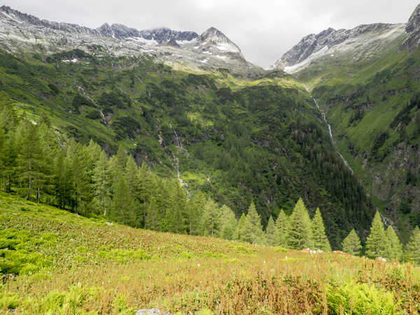 poster pegunungan France Mountains Berge Alps Moss Spruce 1Z