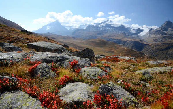 Poster Pemandangan Gunung France Mountains Stones Saint Pierre Alps 1Z