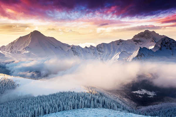 poster gunung landscape mountains winter forest clouds microsoft surface WPS