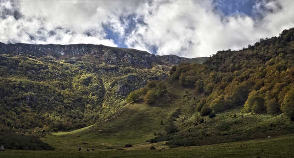 Poster Pemandangan Gunung Spain Mountains Forests 1Z