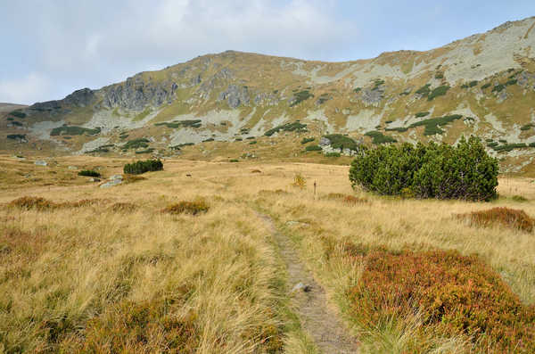 poster pegunungan Slovakia Mountains Tatra Shrubs Grass Moss Trail 1Z