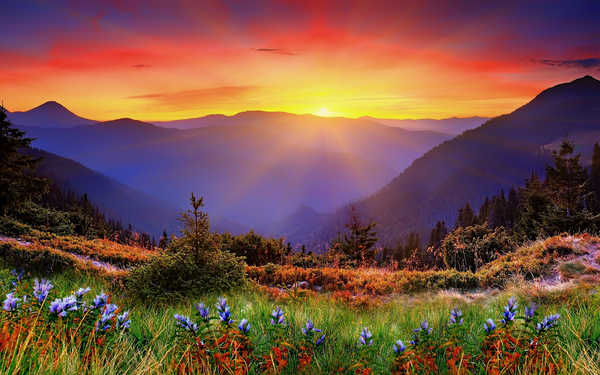 poster gunung Sunrises and sunsets Mountains Scenery Grass Rays 1Z