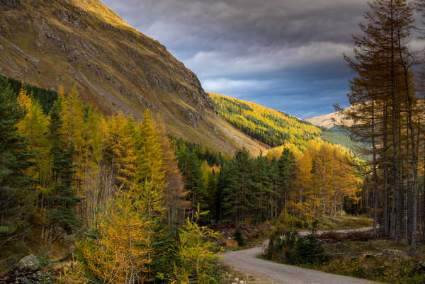 poster pemandangan alam gunung Scotland Parks Autumn Roads Mountains Forests 1Z