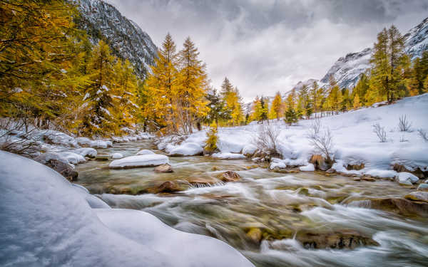 Poster Pemandangan Gunung Fall Foliage Mountain River Tree Earth River APC