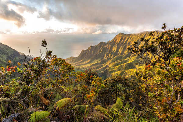 poster pemandangan alam gunung Hawaii Horizon Landscape Mountain Nature Earth Landscape APC