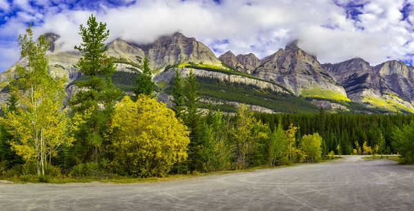 Poster Pemandangan Gunung Canada Parks Mountains Forests Scenery Trees 1Z