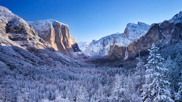 poster pemandangan alam gunung Mountain Snow Tree Winter Earth Winter APC 002