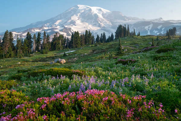 Poster Pemandangan Gunung USA Parks Scenery Mountains Mount Rainier National 1Z