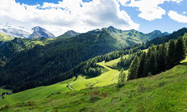 Poster Pemandangan Gunung Austria Mountains Forests Grasslands Tyrol Alps 1Z