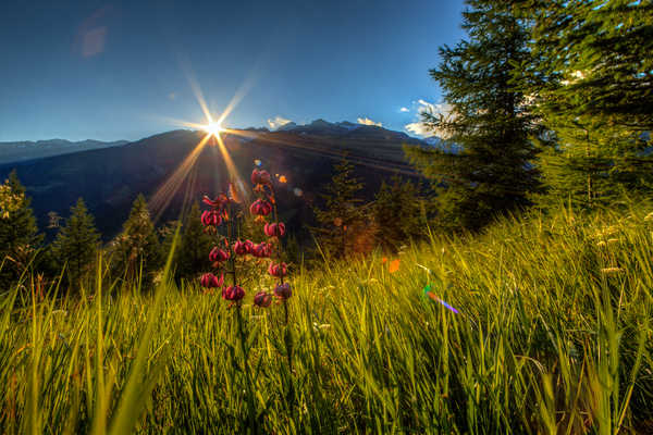 poster gunung Switzerland Mountains 1Z 025