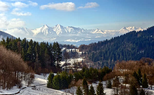 Poster Pemandangan Gunung Mountains Forests Winter Scenery Snow 1Z