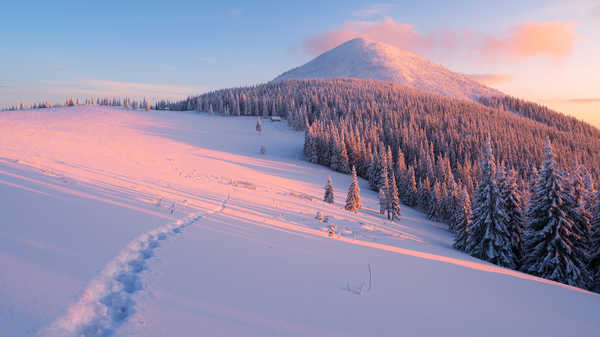 poster gunung Forest Mountain Nature Snow Winter Earth Winter APC 002