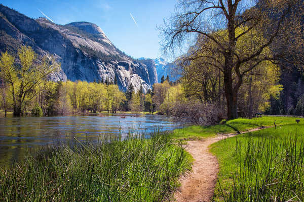 Poster Pemandangan Gunung USA Parks Mountains Spring Lake Yosemite Trees 1Z