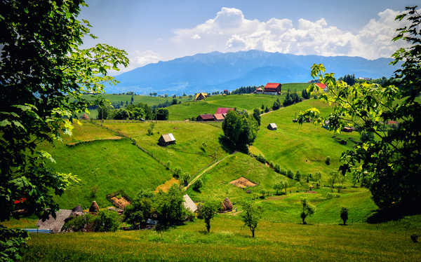 poster pegunungan Romania Mountains Fields 1Z