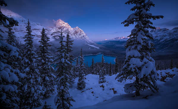 poster pemandangan alam gunung Winter Mountains Scenery Canada Peyto Lake Spruce 1Z