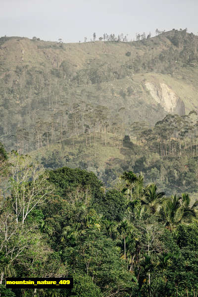 poster pegunungan mountain 409