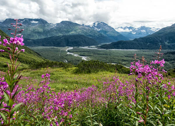 poster gunung Alaska Scenery Mountains Grasslands Seward 1Z