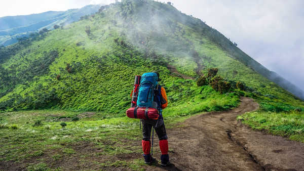 poster pegunungan Mountains Trail Tourist Back view Backpack Fog 1Z