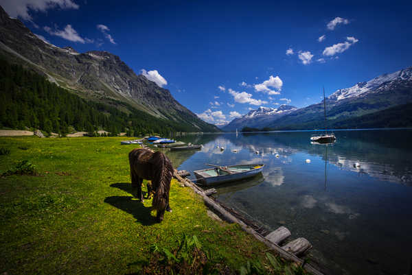 poster pemandangan alam gunung Switzerland Lake Mountains Horses Boats Coast Lake 1Z