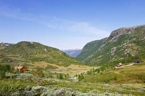 poster gunung Norway Mountains Grasslands 1Z