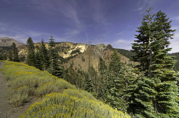 poster pemandangan alam gunung USA Parks Mountains 1Z 008