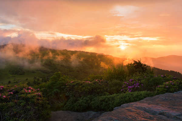 poster pegunungan USA Parks Sunrises and sunsets Roan Mountain 1Z