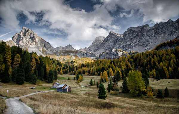 poster gunung Mountains Autumn Roads Forests Italy Scenery Val 1Z