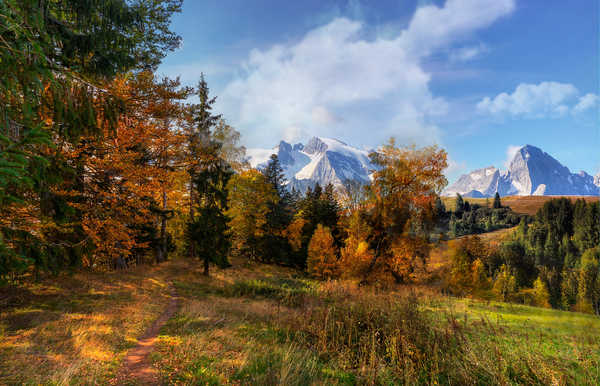 poster pemandangan alam gunung Forests Autumn Mountains Trees 1Z