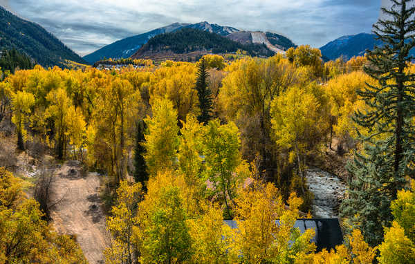 poster pegunungan USA Autumn Mountains Forests Colorado Trees 1Z