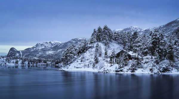 Poster Pemandangan Gunung Norway Lofoten Mountains Winter Coast Snow Trees 1Z