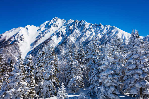 poster pegunungan Japan Winter Mountains Nagano Snow Spruce 1Z