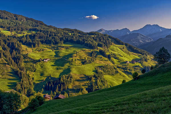 poster pemandangan alam gunung Austria Mountains Forests Grasslands Houses 1Z