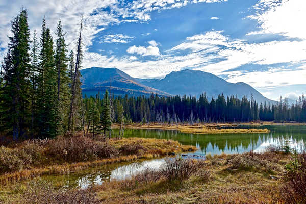 poster pegunungan Forest Lake Mountain Nature Tree Mountains Mountain APC