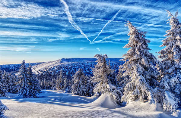 poster pemandangan alam gunung Czech Republic Winter Forests Mountains Scenery 1Z