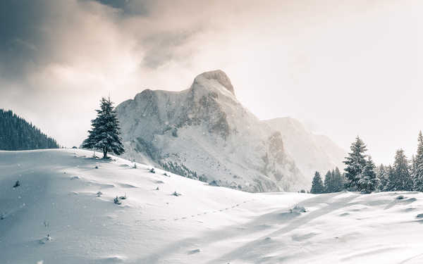 poster pemandangan alam gunung Mountain Nature Snow Tree Winter Mountains Mountain APC