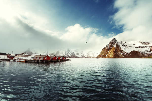 Poster Pemandangan Gunung Norway Lofoten Mountains Houses Marinas Reine Bay 1Z