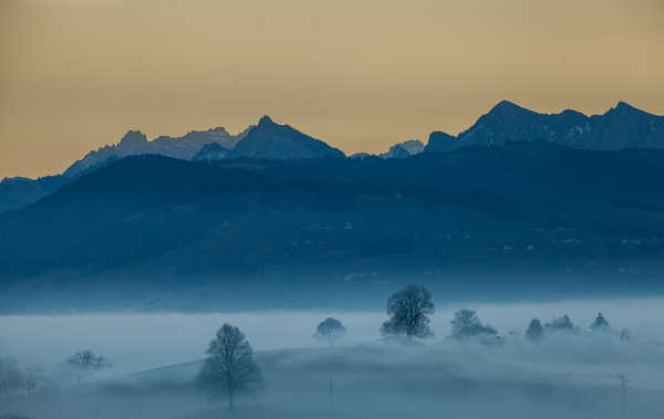 poster pemandangan alam gunung Fog Landscape Mountain Nature Tree Earth Fog APC