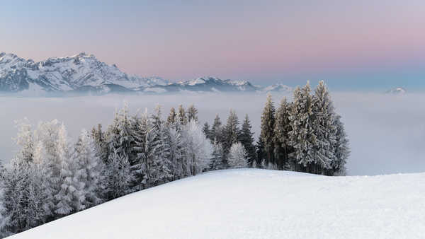 poster gunung Winter Mountains Snow Trees Fog 1Z